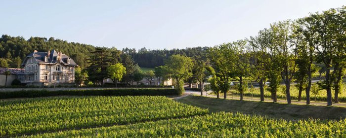 Ein elegantes Herrenhaus steht inmitten von üppigen Weinbergen, umgeben von hohen Bäumen und sanften Hügeln im Hintergrund.