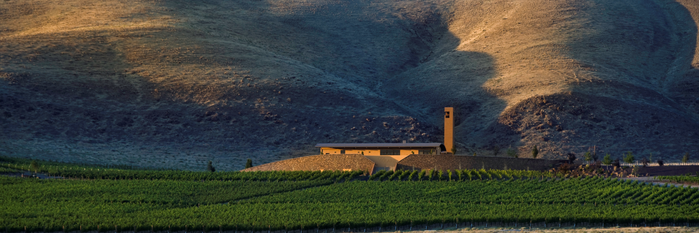 Ein modernes Gebäude steht inmitten von üppigen Weinbergen, umgeben von sanften Hügeln, die im warmen Licht der Abenddämmerung leuchten.