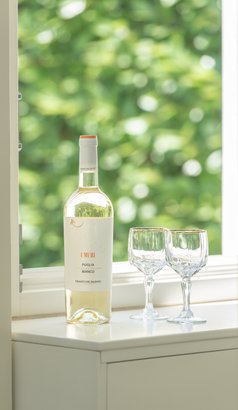 Eine Flasche Weißwein und zwei Gläser auf einem Tisch, mit einem lebhaften, grünen Hintergrund, der eine entspannte Atmosphäre schafft.