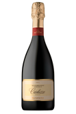 Ein edler Prosecco in einer stilvollen Flasche, die mit einem goldenen Korken und einem ansprechenden Etikett verziert ist.