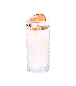 Klares, perlendes Getränk mit Eiswürfeln, dunklen Beeren und einer getrockneten Zitrusscheibe in einem gemusterten Longdrinkglas vor weißem Hintergrund.