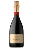Ein edler Prosecco in einer stilvollen Flasche, die mit einem goldenen Korken und einem ansprechenden Etikett verziert ist.