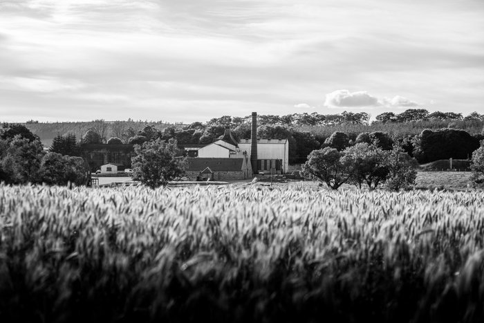 Ein ländlicher Anblick mit einem Feld voller hohem Gras, das einen Bauernhof mit einem markanten Schornstein im Hintergrund umrahmt.