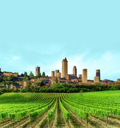 Eine malerische Landschaft mit Weinreben im Vordergrund und einer historischen Stadt mit Türmen im Hintergrund.