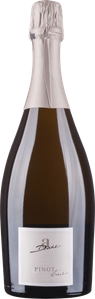 Eine elegante Flasche Sekt mit einem schlichten, stilvollen Etikett, die auf einen besonderen Anlass hinweist.