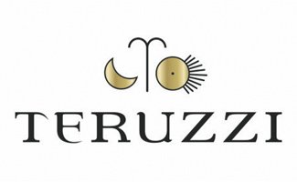 Teruzzi Logo: Teruzzi